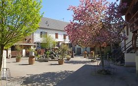 Besondere Ferienwohnung Spirit Auf Idyllischem Reiterhof Nahe Burg Eltz