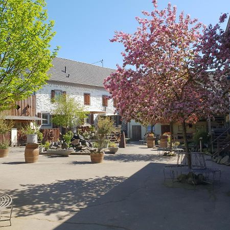 Besondere Ferienwohnung Spirit Auf Idyllischem Reiterhof Nahe Burg Eltz Munstermaifeld ภายนอก รูปภาพ