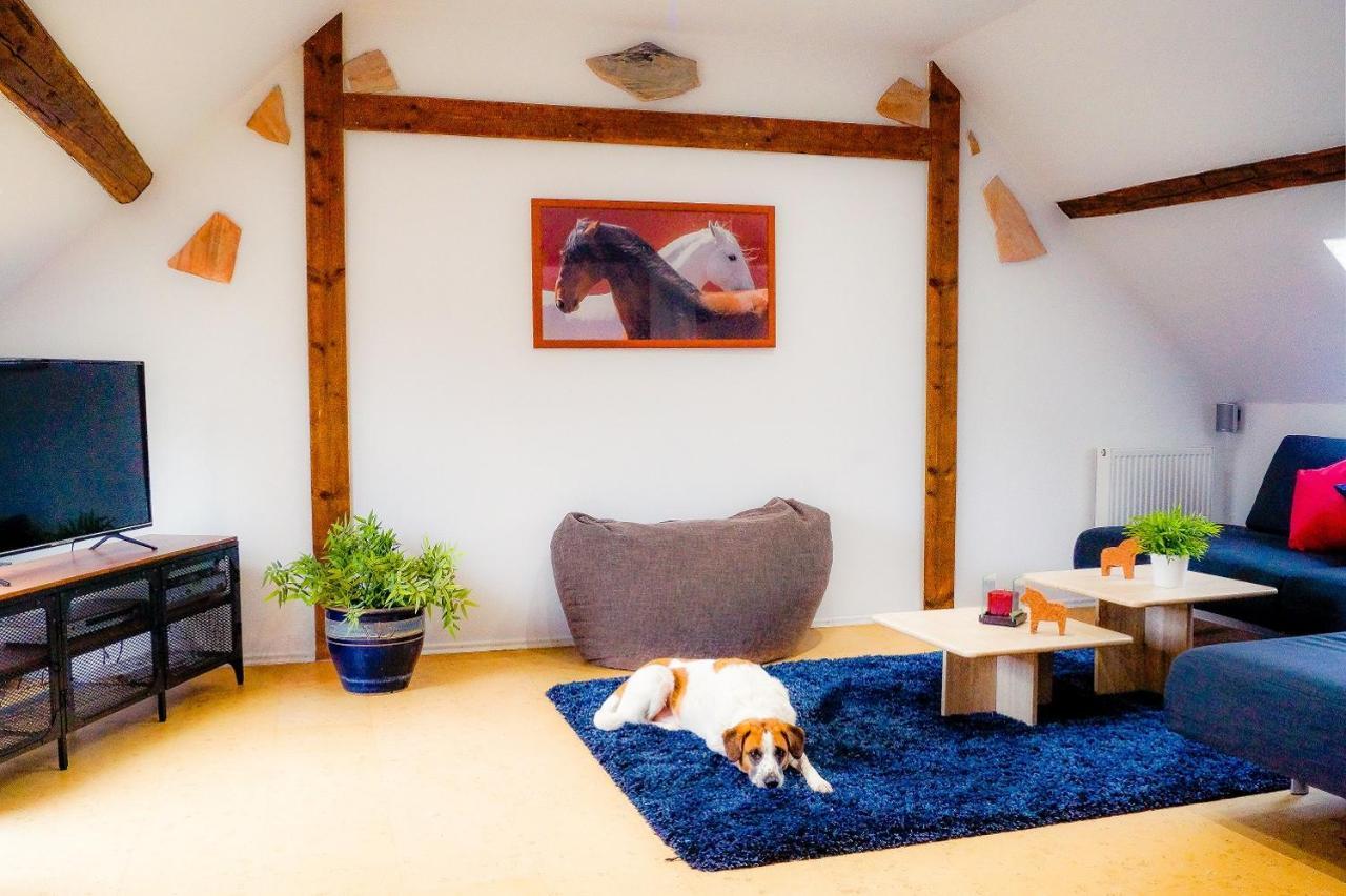 Besondere Ferienwohnung Spirit Auf Idyllischem Reiterhof Nahe Burg Eltz Munstermaifeld ภายนอก รูปภาพ