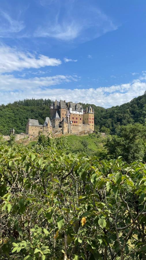 Besondere Ferienwohnung Spirit Auf Idyllischem Reiterhof Nahe Burg Eltz Munstermaifeld ภายนอก รูปภาพ